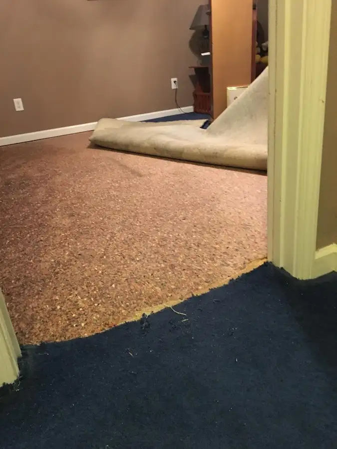 Carpet pad removal revealing water damage during Water Mitigation Services in Waldoboro