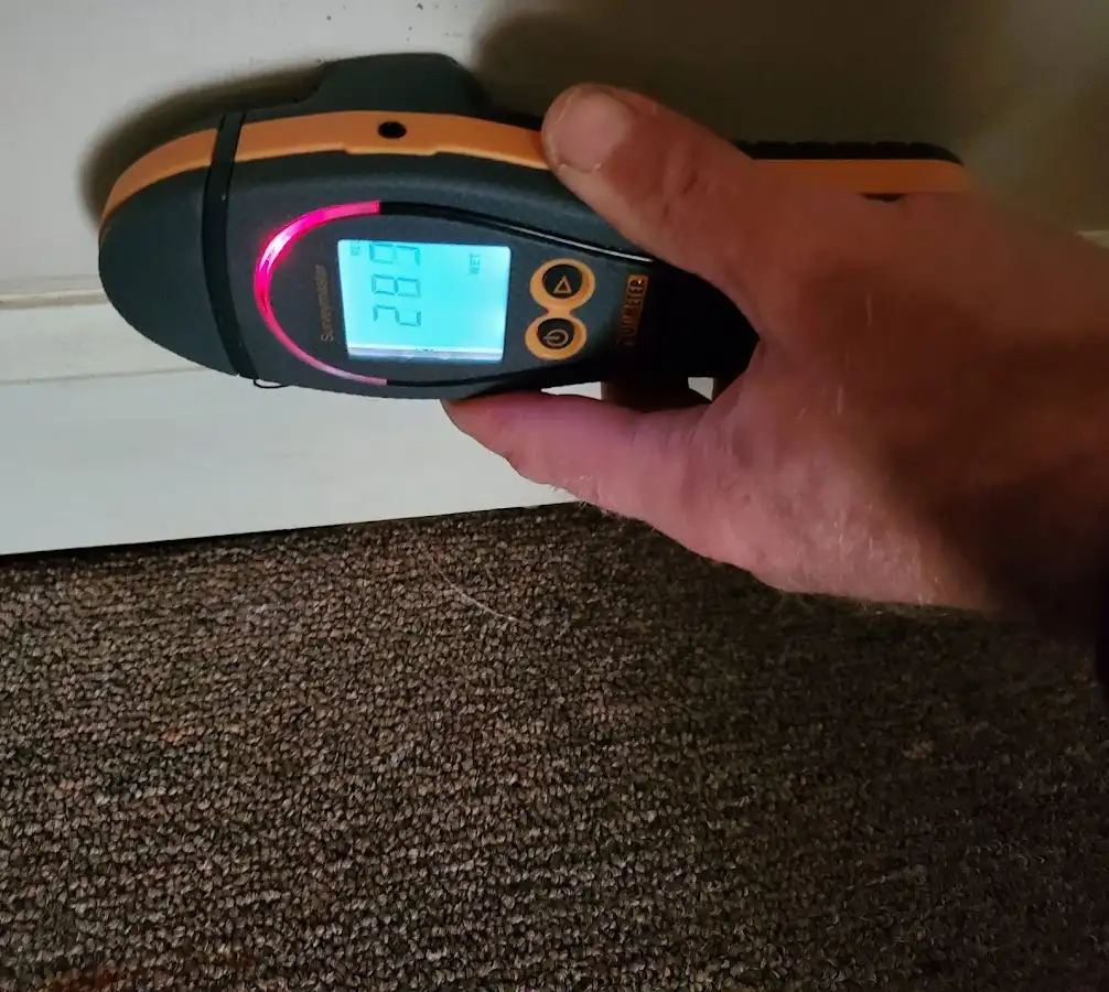 Moisture detection at baseboard during Mold Inspection & Testing in Waldoboro
